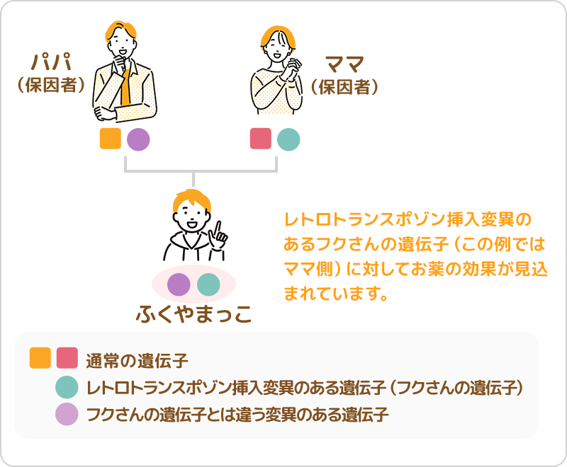 レトロトランスポゾン挿入のヘテロ接合型の場合