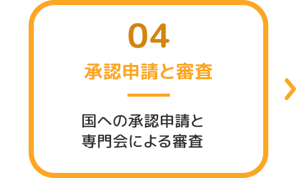 承認申請と審査