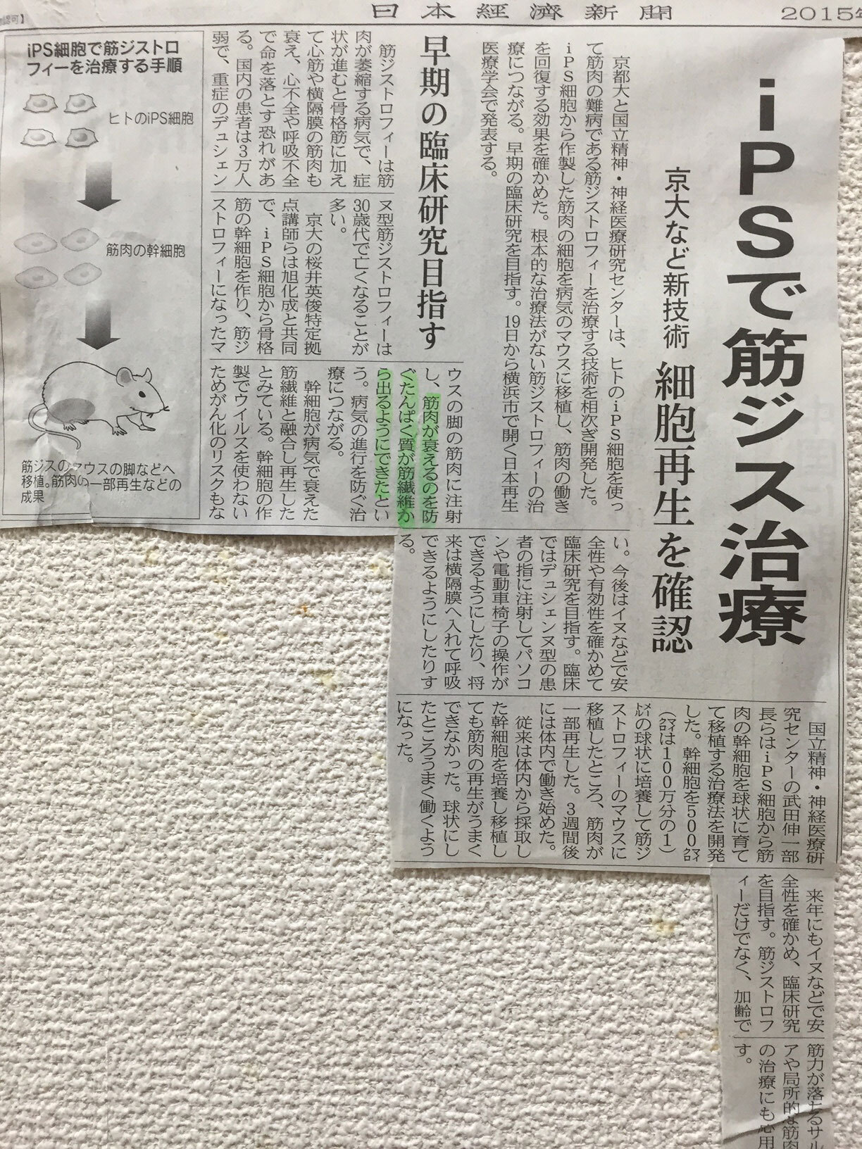 新聞の切り抜きの写真