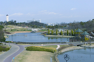 日程&場所
