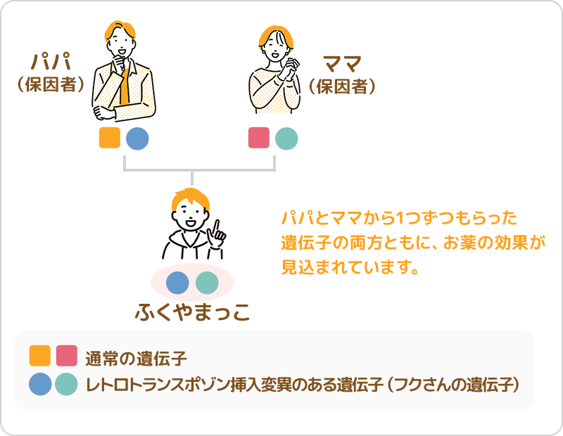 レトロトランスポゾン挿入のホモ接合型の場合